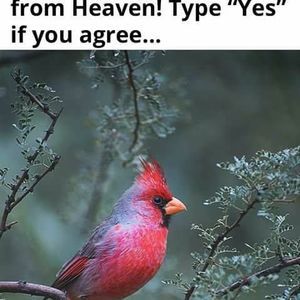 Meet your Posher, Raul